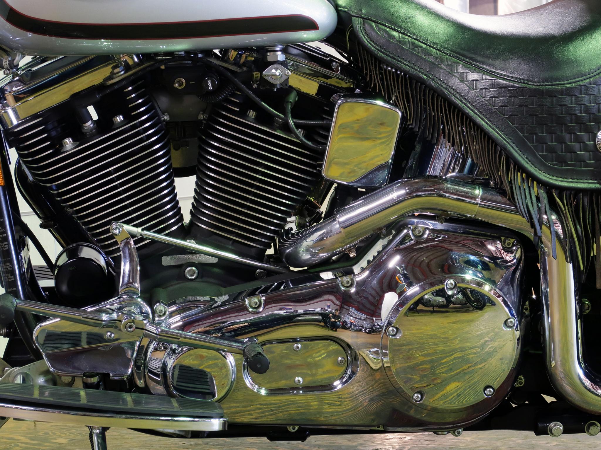 ハーレー FLSTS Heritage Springer 車体写真8