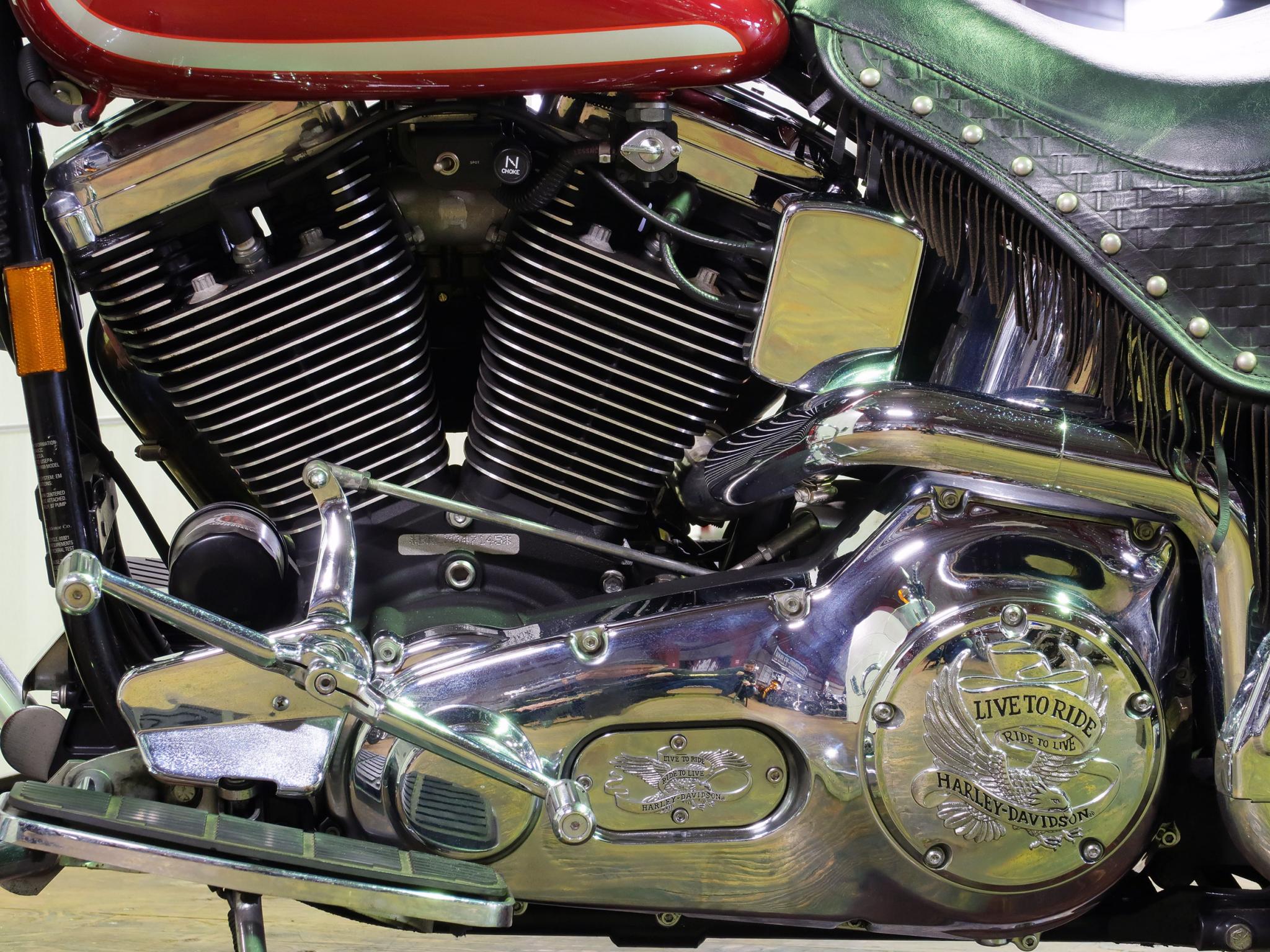 ハーレー FLSTS Heritage Springer 車体写真8