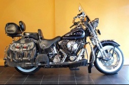 販売済:中古車:1998 FLSTS HarleyDavidsonEG:evo