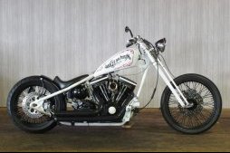 販売済:中古車:1999 Ridgid EVO:evo