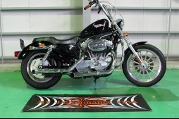 販売済:中古車:2009 Sports Star 883:evo
